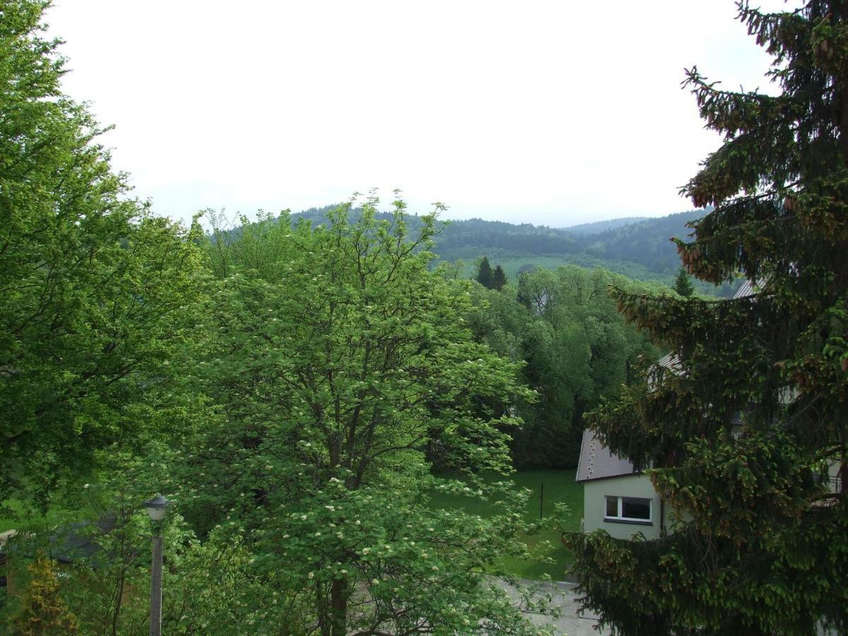 Goprówka *