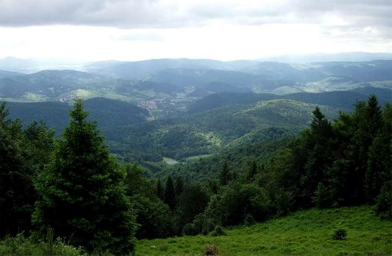 Kwatera prywatna Goprówka